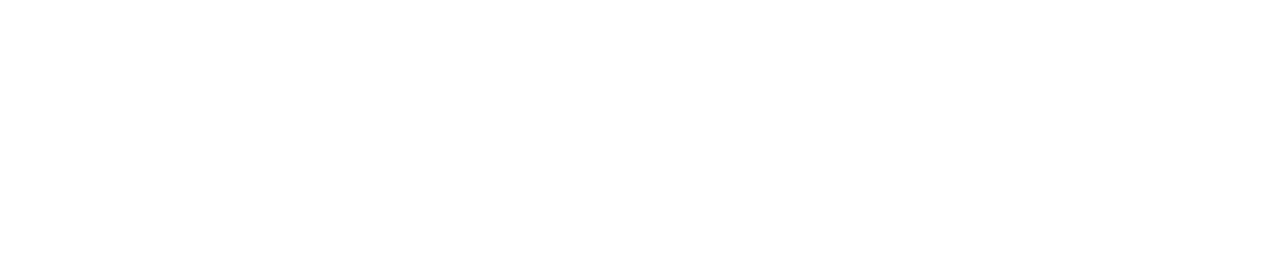 Dra. Damianne Bertonsello